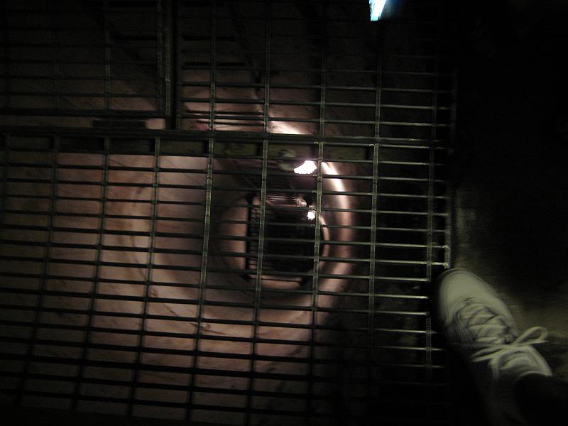Picture 012